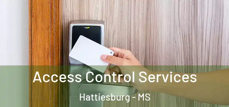 Access Control Services Hattiesburg - MS