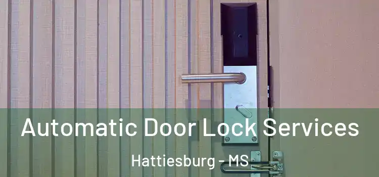 Automatic Door Lock Services Hattiesburg - MS