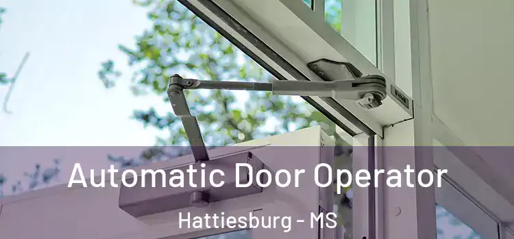 Automatic Door Operator Hattiesburg - MS