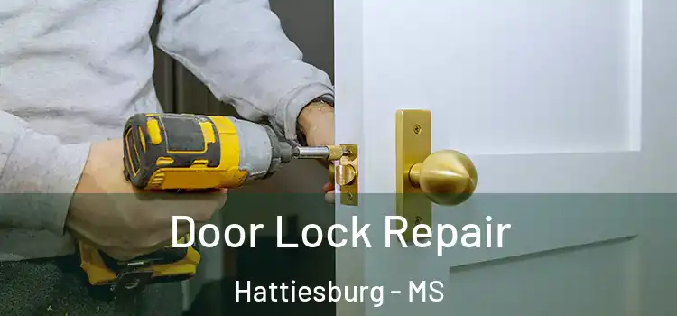  Door Lock Repair Hattiesburg - MS