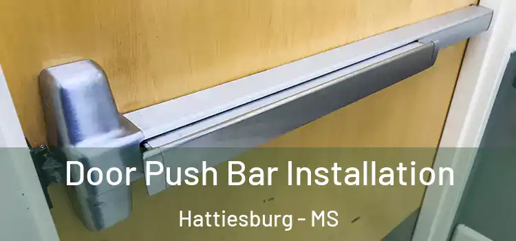  Door Push Bar Installation Hattiesburg - MS