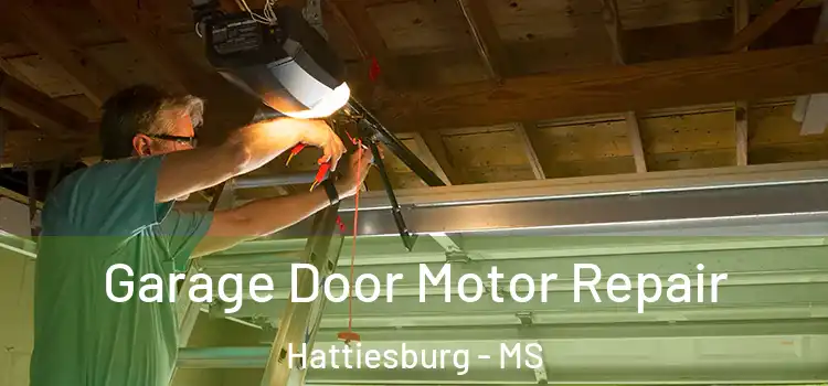  Garage Door Motor Repair Hattiesburg - MS