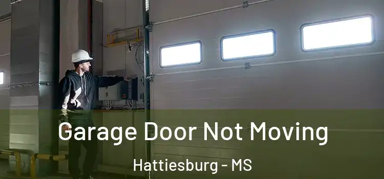  Garage Door Not Moving Hattiesburg - MS