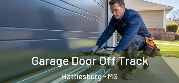  Garage Door Off Track Hattiesburg - MS