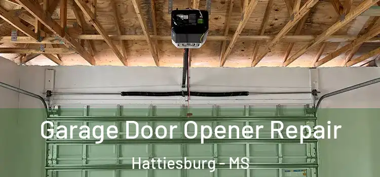  Garage Door Opener Repair Hattiesburg - MS
