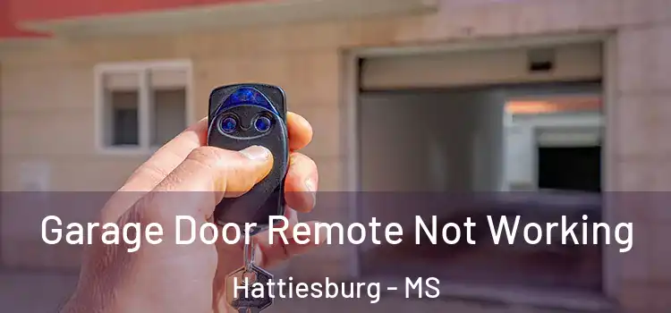  Garage Door Remote Not Working Hattiesburg - MS