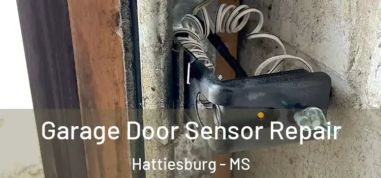  Garage Door Sensor Repair Hattiesburg - MS