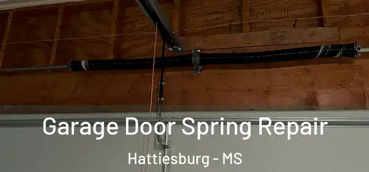  Garage Door Spring Repair Hattiesburg - MS