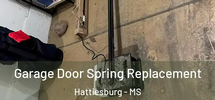  Garage Door Spring Replacement Hattiesburg - MS
