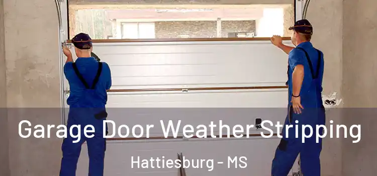  Garage Door Weather Stripping Hattiesburg - MS