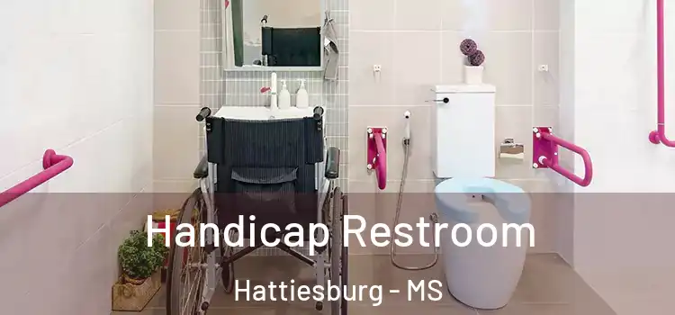  Handicap Restroom Hattiesburg - MS