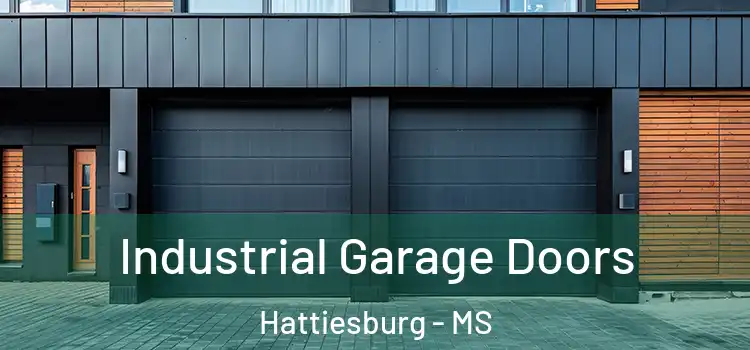  Industrial Garage Doors Hattiesburg - MS
