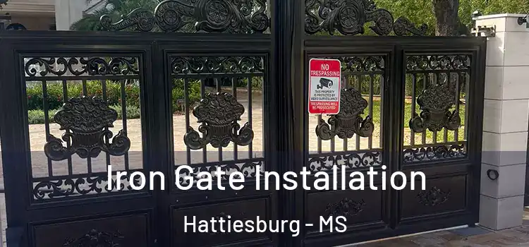  Iron Gate Installation Hattiesburg - MS
