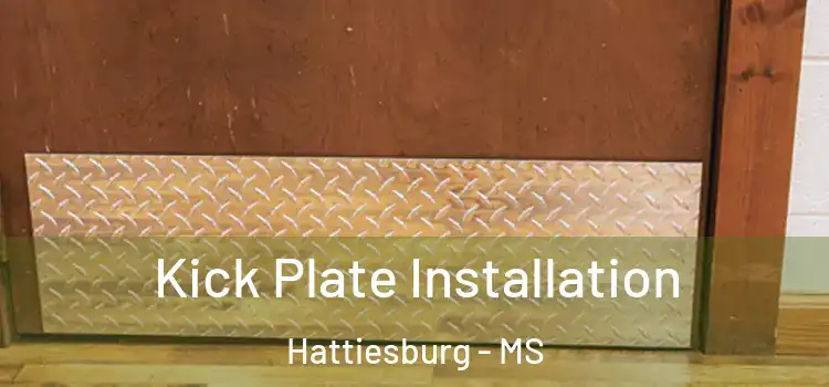  Kick Plate Installation Hattiesburg - MS