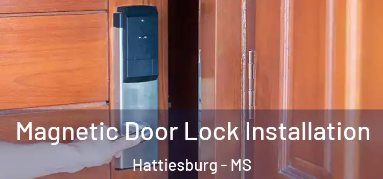  Magnetic Door Lock Installation Hattiesburg - MS