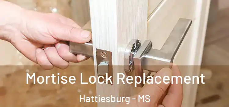  Mortise Lock Replacement Hattiesburg - MS