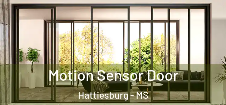 Motion Sensor Door Hattiesburg - MS