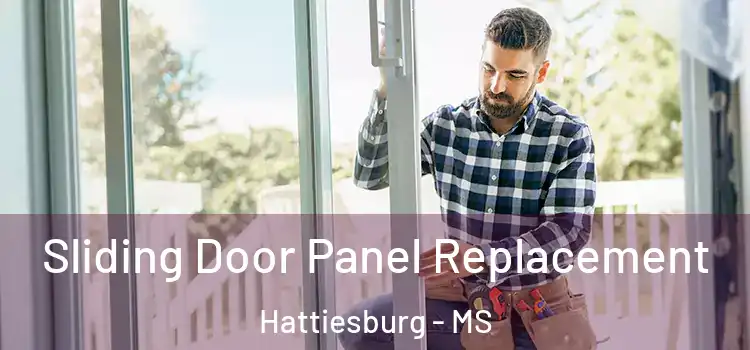  Sliding Door Panel Replacement Hattiesburg - MS