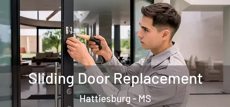  Sliding Door Replacement Hattiesburg - MS