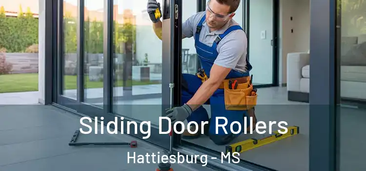  Sliding Door Rollers Hattiesburg - MS