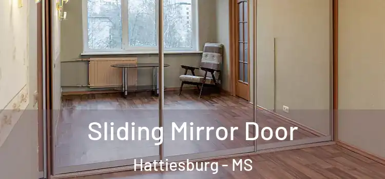  Sliding Mirror Door Hattiesburg - MS